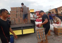 Pasokan Telur Ayam Dari Luar Daerah untuk Lebaran