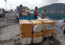 Puluhan Coolbox Daging Ayam Tiba di Pelabuhan Tahuna