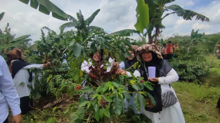 Peluncuran Agrokopi School Project SMA Negeri 1 Permatan Bener Meriah