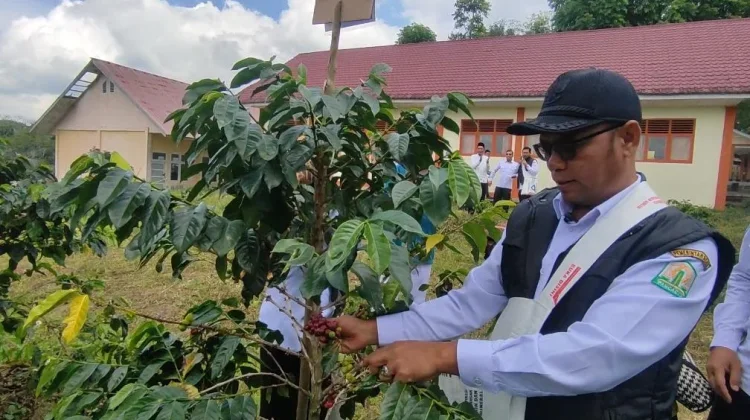Peluncuran Agrokopi School Project SMA Negeri 1 Permatan Bener Meriah