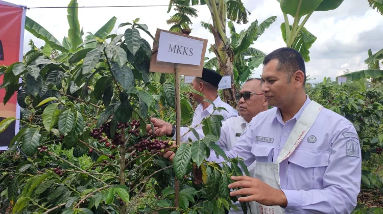 Peluncuran Agrokopi School Project SMA Negeri 1 Permatan Bener Meriah