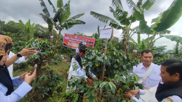 Peluncuran Agrokopi School Project SMA Negeri 1 Permatan Bener Meriah