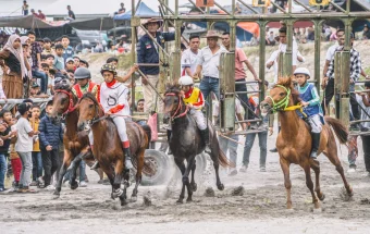 Aksi Para Joki di Pacuan Kuda Tradisional Gayo 2026