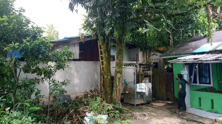 Pemotongan Pohon Mangga Kelurahan Karang Anyar Pantai