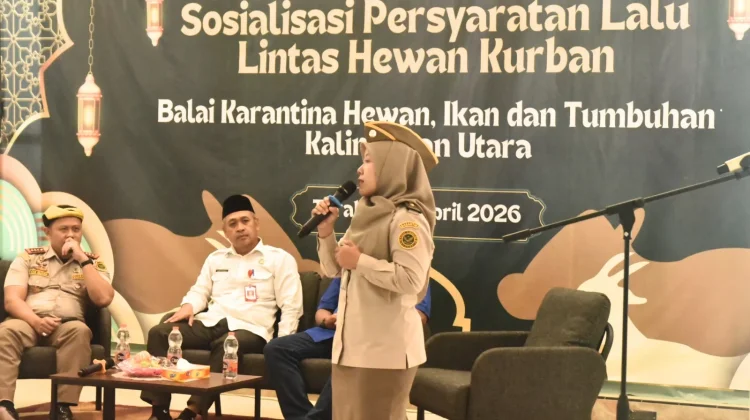 Barantin Pastikan Hewan Kurban Bebas dari Penyakit