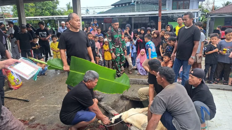Pemotongan Hewan Kurban Hari Raya Idul Adha 1447 H/2026 di Kelurahan Kampung Enam