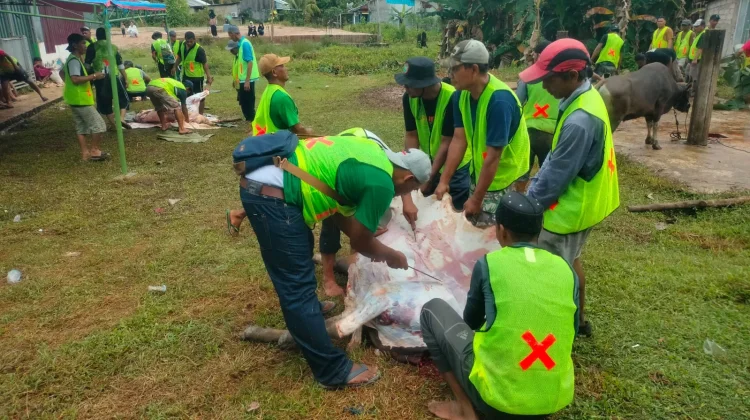 Wilayah Pelaksanaan Pemotongan Hewan Qurban di Kelurahan Juata permai