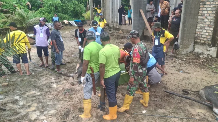 Kegiatan Pemotongan Hewan Qurban di Kelurahan Karang Harapan