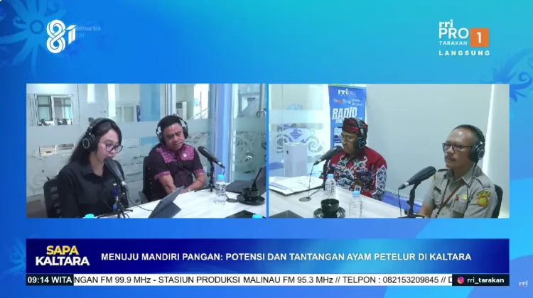 Potensi dan Tantangan Ayam Petelur menuju Mandiri Pangan di Kaltara