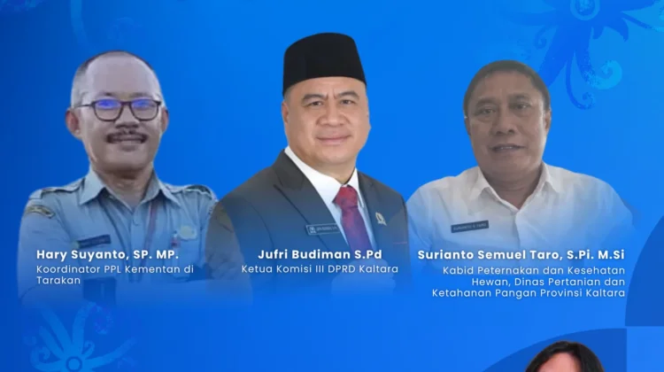 Potensi dan Tantangan Ayam Petelur menuju Mandiri Pangan di Kaltara