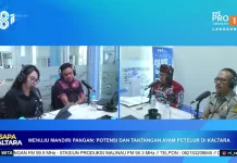 Potensi dan Tantangan Ayam Petelur menuju Mandiri Pangan di Kaltara