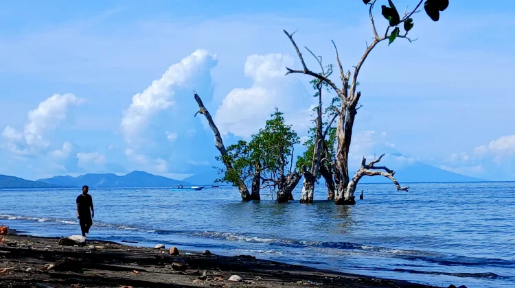 Potret Keindahan Pantai Kastela