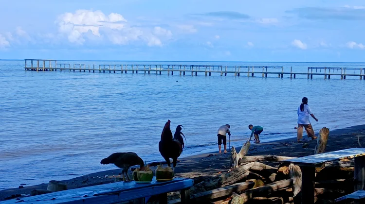 Potret Keindahan Pantai Kastela