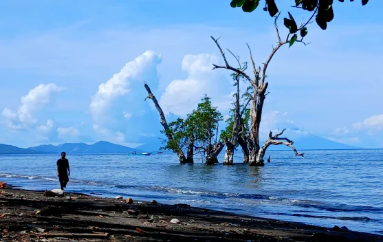 Potret Keindahan Pantai Kastela