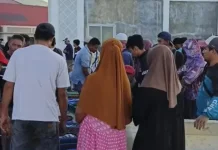 Hasil Uji OKKPD, Ikan di Tolitoli Layak Konsumsi dan Dukung Program MB