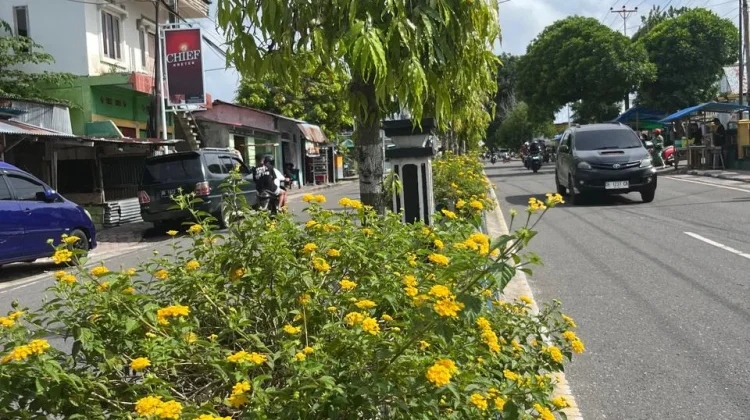 Wajah Baru Kota Langgur Cantik dengan Bunga Lantana