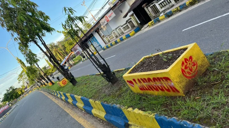 Wajah Baru Kota Langgur Cantik dengan Bunga Lantana