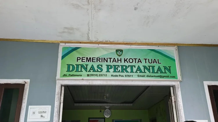 Praktik Penyembelihan Hewan Kurban di Dinas Pertanian Kota Tual