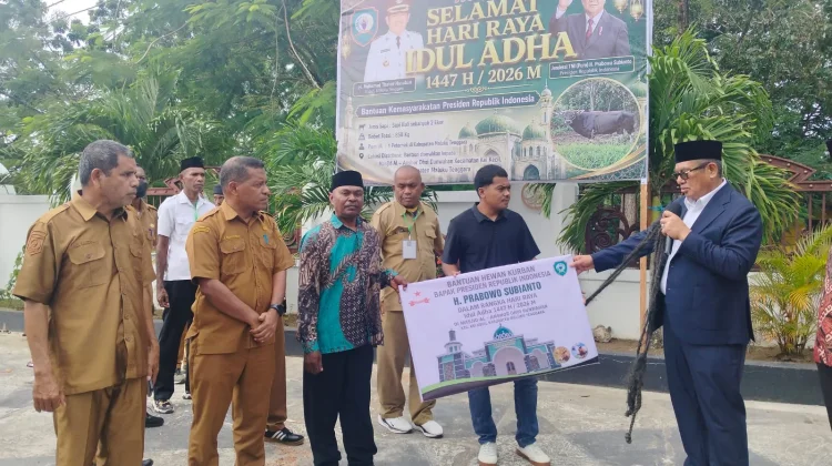Pemkab Maluku Tenggara Serahkan 31 Sapi Kurban untuk Masyarakat