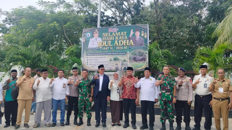 Pemkab Maluku Tenggara Serahkan 31 Sapi Kurban untuk Masyarakat