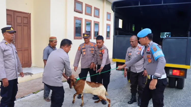 Polres Tual Salurkan Hewan Kurban ke Empat Masjid jelang Idul Adha 1447 H