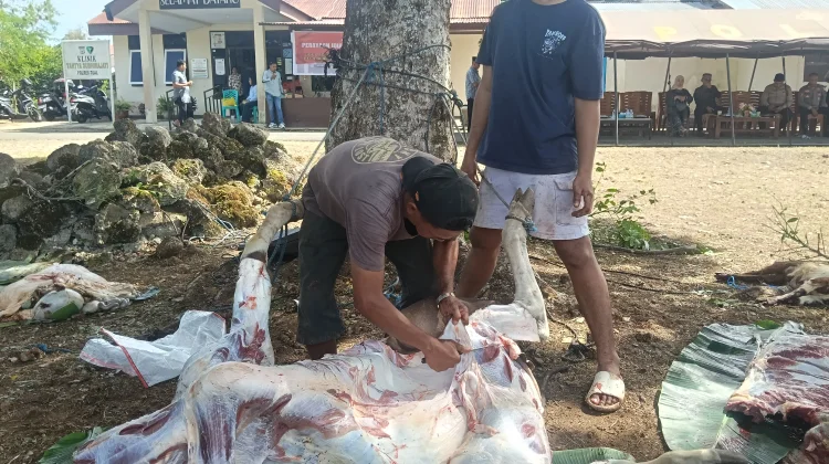 Polres Tual Salurkan 200 Paket Daging Qurban
