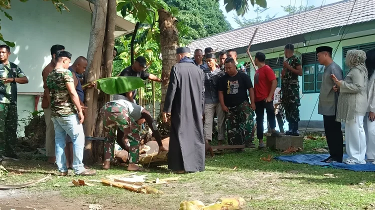 Kodim 1503-Tual Sembelih 1 Ekor Sapi dan 4 Kambing