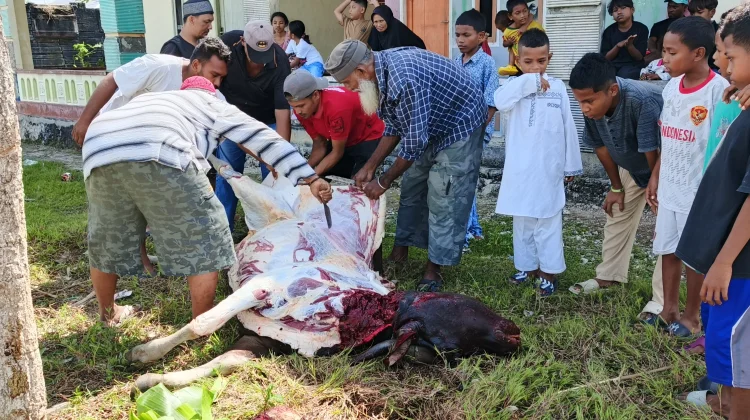 DKM Darul Islam Sembelih Hewan Kurban di Bantu Warga hingga Anak Muda