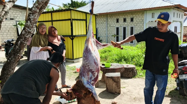 DKM Darul Islam Sembelih Hewan Kurban di Bantu Warga hingga Anak Muda