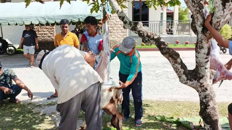 DKM Darul Islam Sembelih Hewan Kurban di Bantu Warga hingga Anak Muda