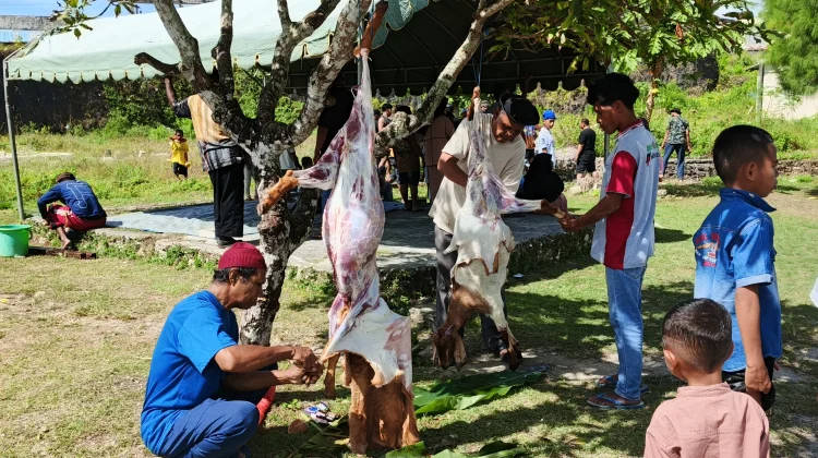 DKM Darul Islam Sembelih Hewan Kurban di Bantu Warga hingga Anak Muda