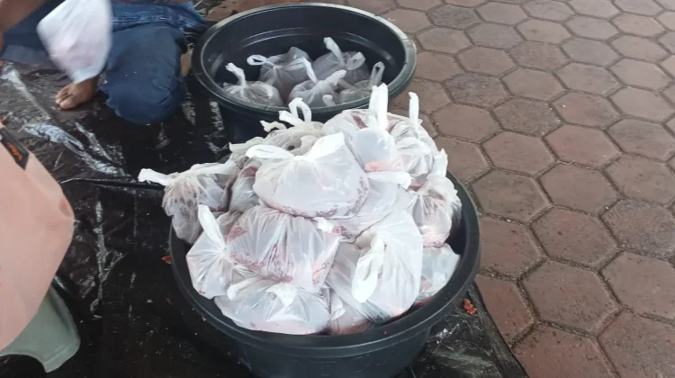 Penyaluran Hewan Qurban di Masjid Miftahul Jannah BTN Inda