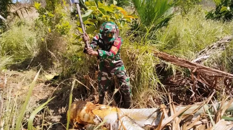 Lestarikan Kearifan Lokal, Babinsa Dampingi Pengolahan Sagu Tradisional