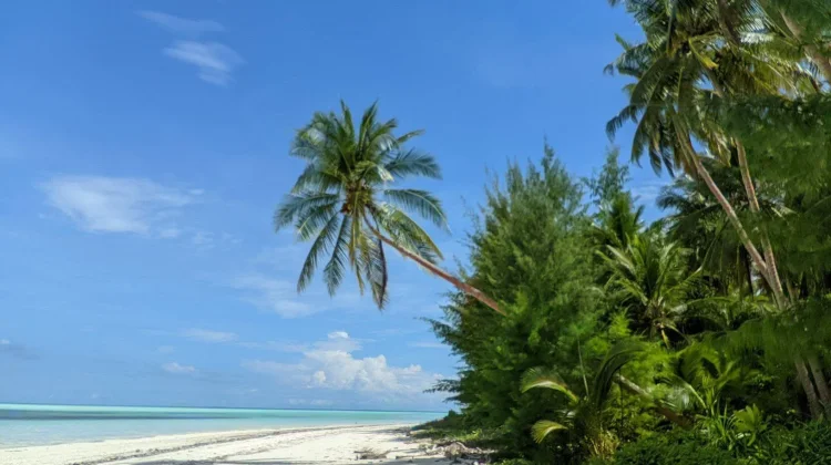 Ur Island, Bukan Sekadar Pulau, Melainkan Rumah yang Menyambut Setiap Pengunjung