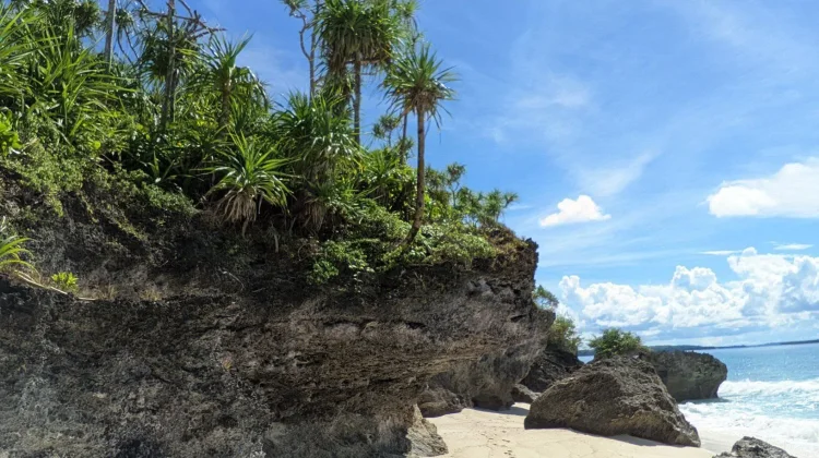 Ur Island, Bukan Sekadar Pulau, Melainkan Rumah yang Menyambut Setiap Pengunjung