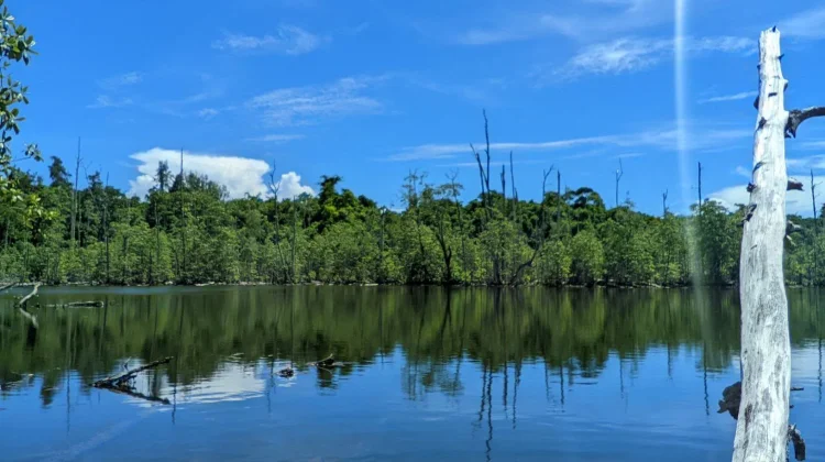 Ur Island, Bukan Sekadar Pulau, Melainkan Rumah yang Menyambut Setiap Pengunjung