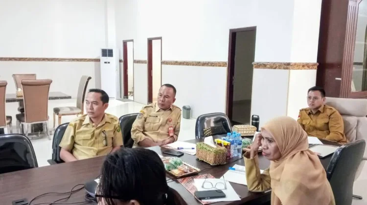 Maluku Tenggara Ikuti Raker Komisi II DPR RI Bahas PPPK dan Honorer
