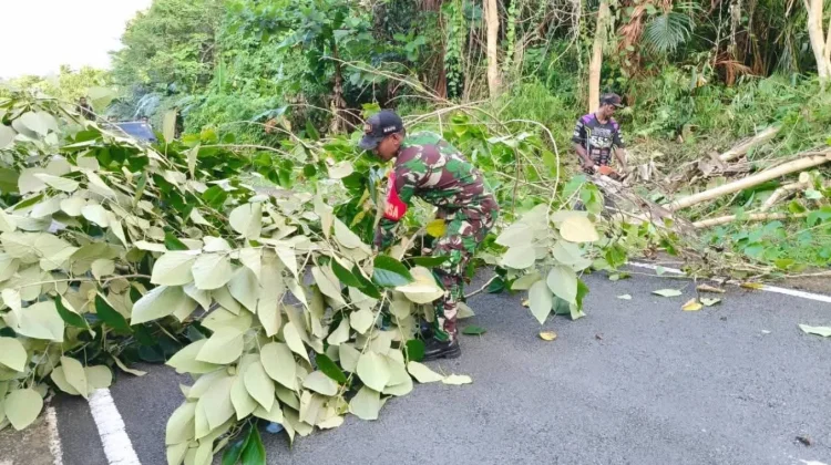 Babinsa Bersama Warga Buka Akses Jalan akibat Pohon Tumbang