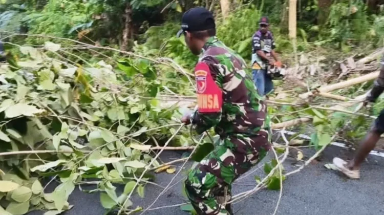 Babinsa Bersama Warga Buka Akses Jalan akibat Pohon Tumbang