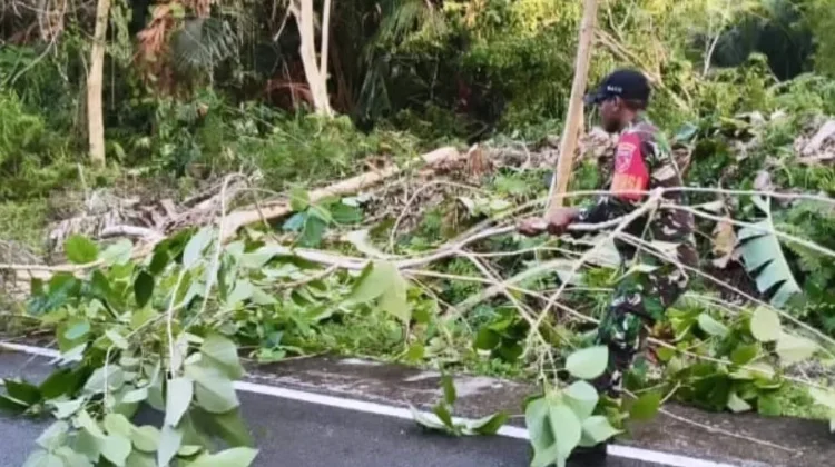 Babinsa Bersama Warga Buka Akses Jalan akibat Pohon Tumbang