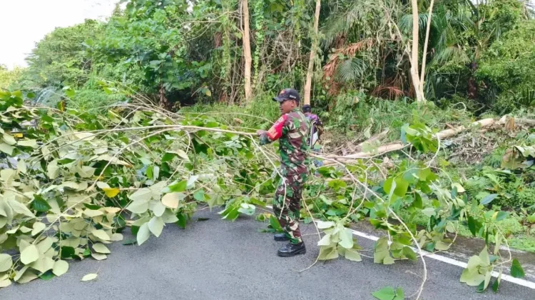 Babinsa Bersama Warga Buka Akses Jalan akibat Pohon Tumbang