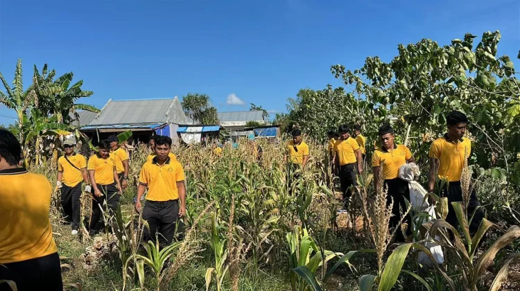 Polres Tual Dukung Ketahanan Pangan Dengan Panen Raya Jagung