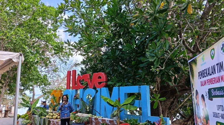 Pembekalan Tim Kader Posyandu dihadiri Bupati Maluku Tenggara