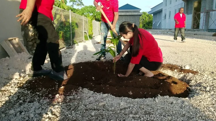 PDI Perjuangan Malra Tanam Pohon Peringati Bulan Bung Karno