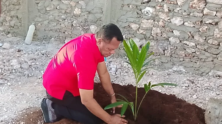 PDI Perjuangan Malra Tanam Pohon Peringati Bulan Bung Karno
