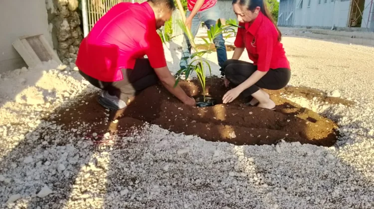 PDI Perjuangan Malra Tanam Pohon Peringati Bulan Bung Karno