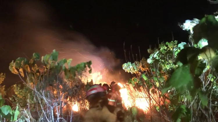 Petugas Siaga Kebakaran Padamkan Kebakaran Lahan di Kampung Fanil