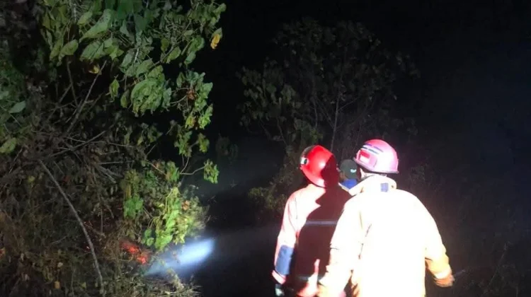 Petugas Siaga Kebakaran Padamkan Kebakaran Lahan di Kampung Fanil