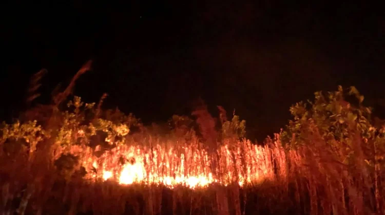 Petugas Siaga Kebakaran Padamkan Kebakaran Lahan di Kampung Fanil