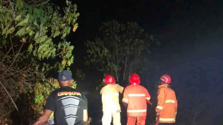 Petugas Siaga Kebakaran Padamkan Kebakaran Lahan di Kampung Fanil